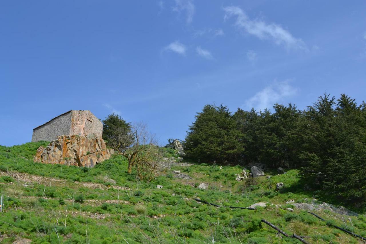 Casa Panoramica Castelverde San Mauro Castelverde المظهر الخارجي الصورة
